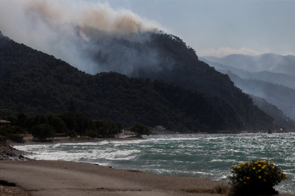 Eκπρόσωπος τύπου πυροσβεστικής: «Πολύ βελτιωμένη εικόνα – Δεν υπάρχει ενιαίο μέτωπο»