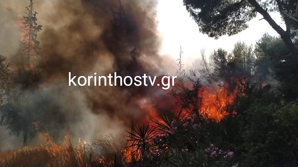 Oριοθετήθηκε η μεγάλη φωτιά στα Ίσθμια  που απείλησε σπίτια – Υπό μερικό έλεγχο η πυρκαγιά στη Μακρακώμη  (video)