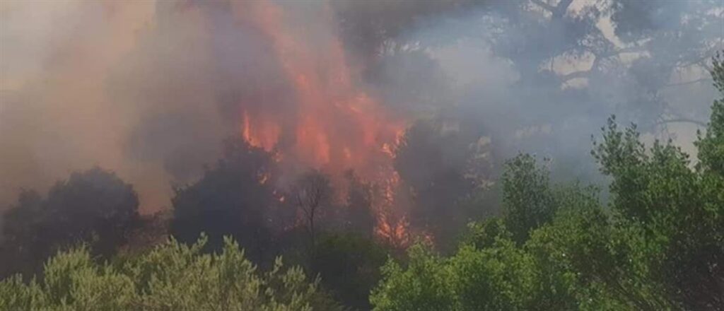 Ολονύκτια μάχη με τις φλόγες στον Έβρο – Οι κάτοικοι της Λευκίμης επέστρεψαν στα σπίτια τους [βίντεο]