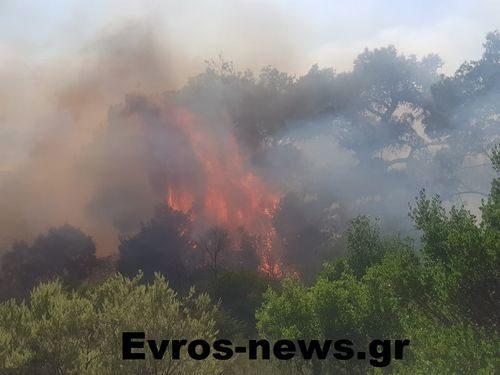 Μάχη με τις φλόγες στον Έβρο: Εκκενώνεται η Λευκίμμη (video)