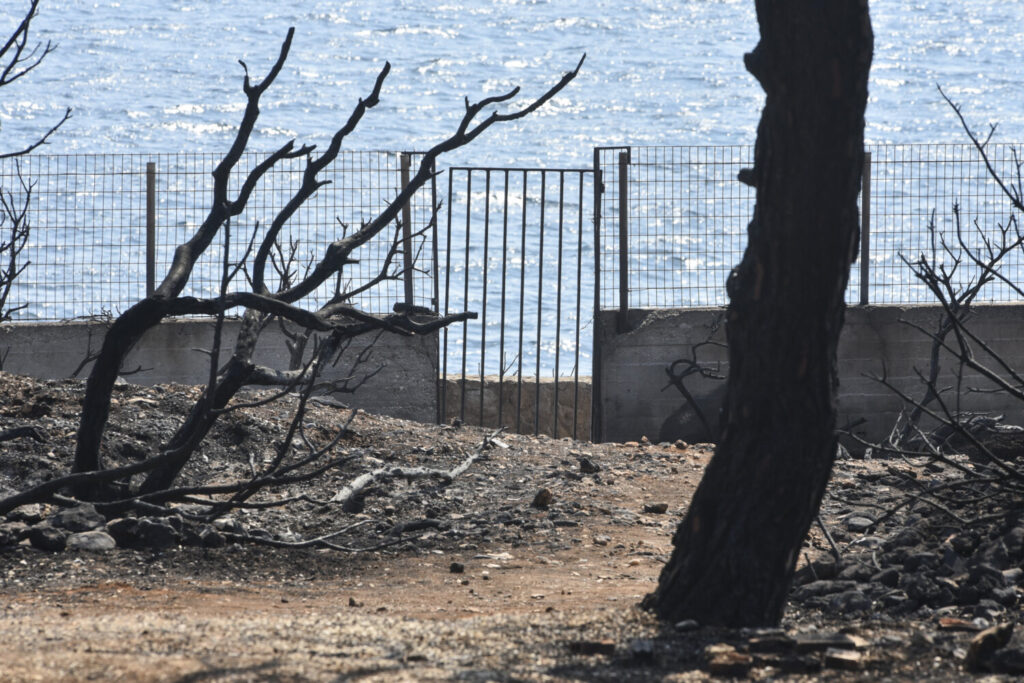 Δίκη για το Μάτι: «Άφησα το ένα μου παιδί  στη θάλασσα για να σώσω το άλλο», σπαρακτικές καταθέσεις για την ανείπωτη τραγωδία