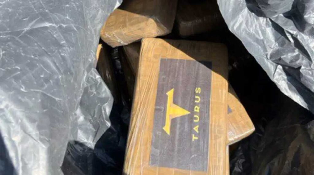 ΑΑΔΕ: Νέο «λαβράκι» με 46 κιλά κοκαίνης σε κοντέινερ με μπανάνες από το Εκουαδόρ