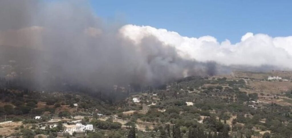 Φωτιά στην Άνδρο: Καίει σε δασική έκταση – Ήχησε το 112 για εκκένωση τεσσάρων περιοχών (βίντεο)