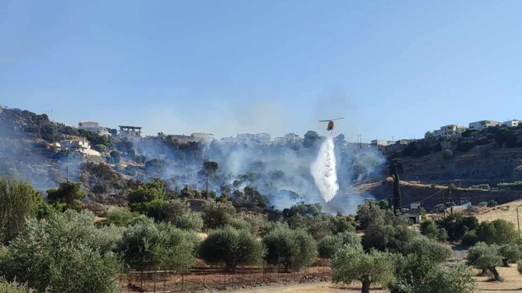 Φωτιά στην Ηλεία: Χωρίς ενεργό μέτωπο – Σε επιφυλακή η Πυροσβεστική – Διάσπαρτες εστίες σε Λάττα και Πρόδρομο (βίντεο)