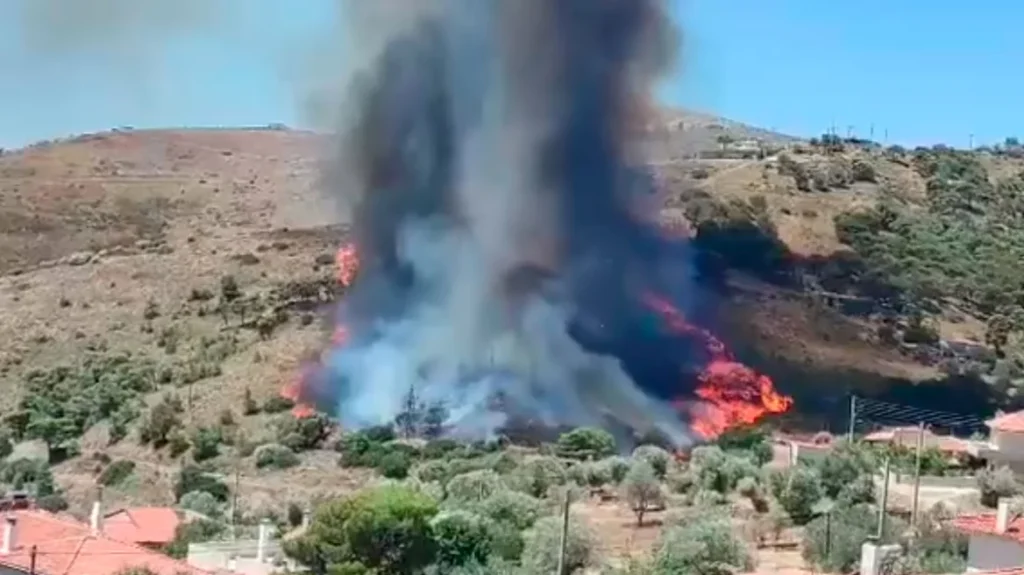 Φωτιά στην Κερατέα – Στα σπίτια οι φλόγες – Μήνυμα του 112 για εκκένωση 4 οικισμών (βίντεο)