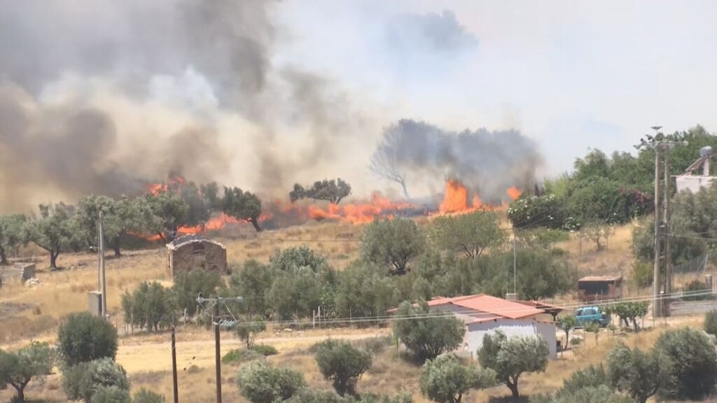 Φωτιά στην Κερατέα – Κάηκαν σπίτια – Εκκενώθηκαν 6 οικισμοί – Τέσσερις οι εστίες (βίντεο)