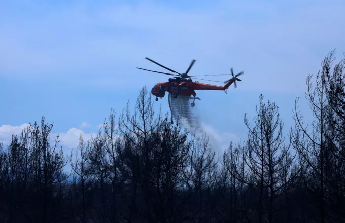 Ευθ. Λέκκας: Οι 4 λόγοι που εξαπλώθηκε η φωτιά στην Αττική και το φαινόμενο της καμινάδας (βίντεο)