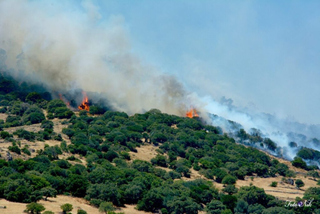 Υπό μερικό έλεγχο η μεγάλη φωτιά στη Λέσβο – Συνελήφθη ο ιδιοκτήτης του κτήματος από όπου ξεκίνησε η φωτιά