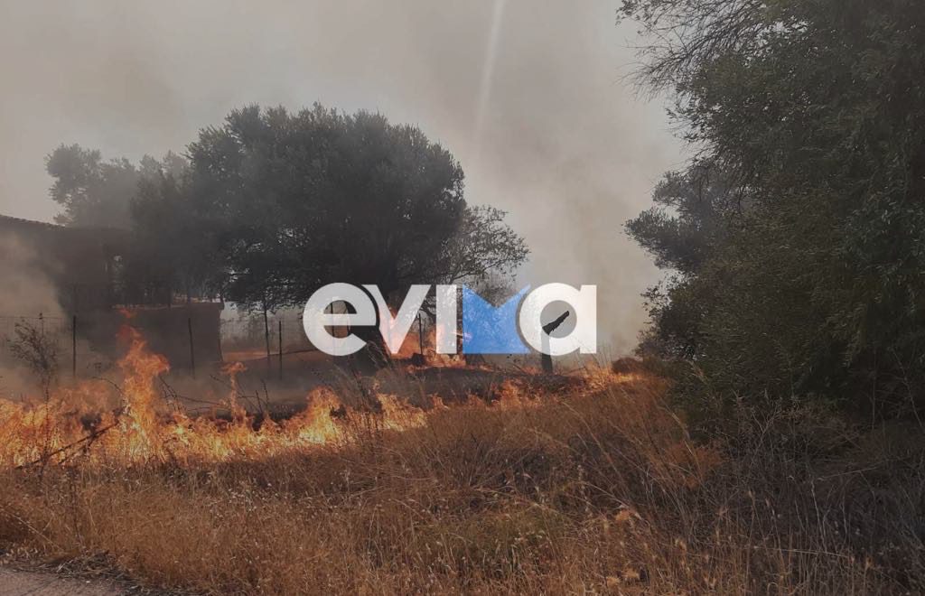 Φωτιά στην Ερέτρια: Καίει κοντά σε σπίτια – Μήνυμα του 112 – Πυρκαγιά και στη Βοιωτία – Βίντεο