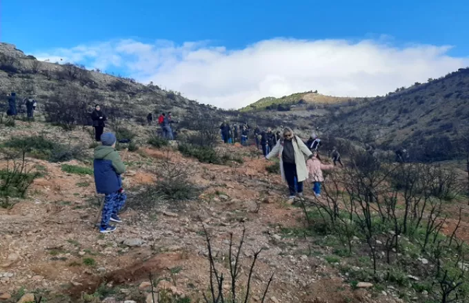 Όλοι μαζί μπορούμε: Η 1η Δενδροφύτευση της σεζόν στον Υμηττό