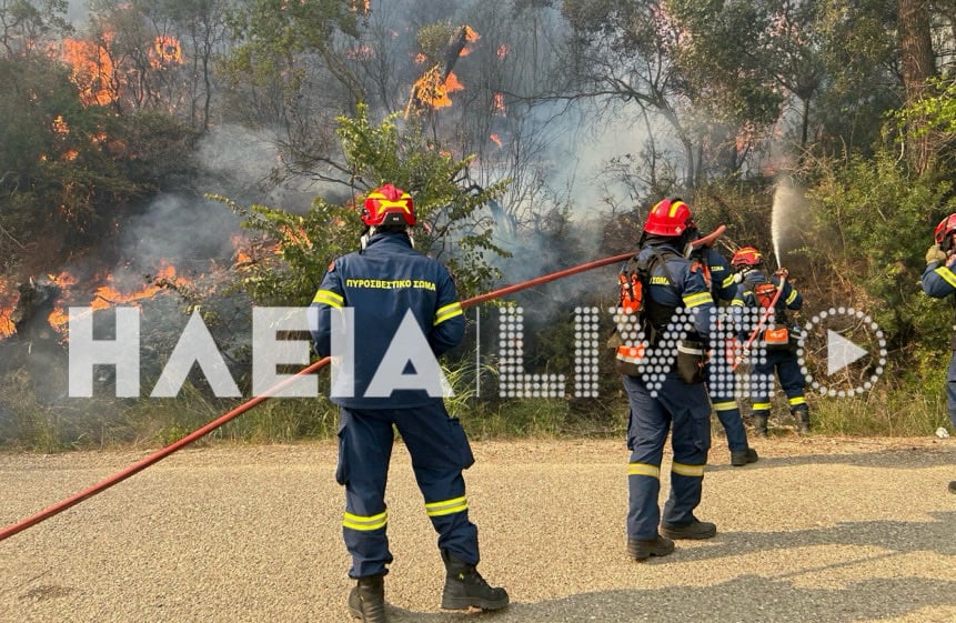 Φωτιά στην Ηλεία – Μήνυμα 112 για απομάκρυνση προς Αμαλιάδα – Τρία τα πύρινα μέτωπα – Βίντεο