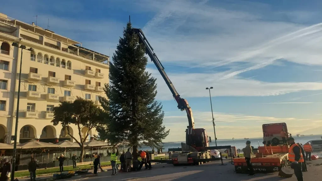 Χριστούγεννα στη Θεσσαλονίκη: Στην πλατεία Αριστοτέλους το έλατο ύψους 20 μέτρων – Στις 30 Νοεμβρίου θα φωταγωγηθεί (βίντεο)